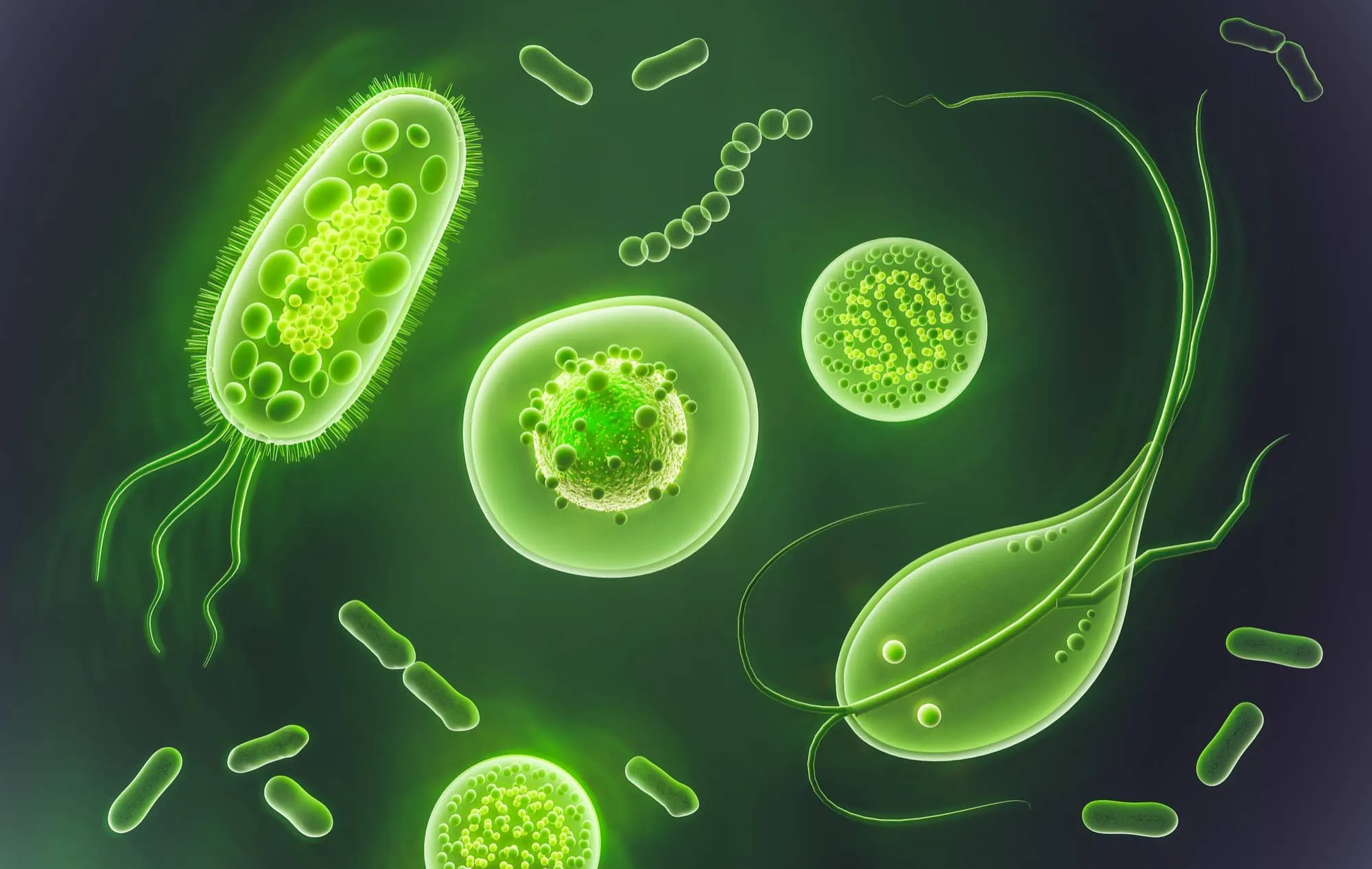 Xử lý coliform trong nước thải: Bảo vệ sức khỏe cộng đồng