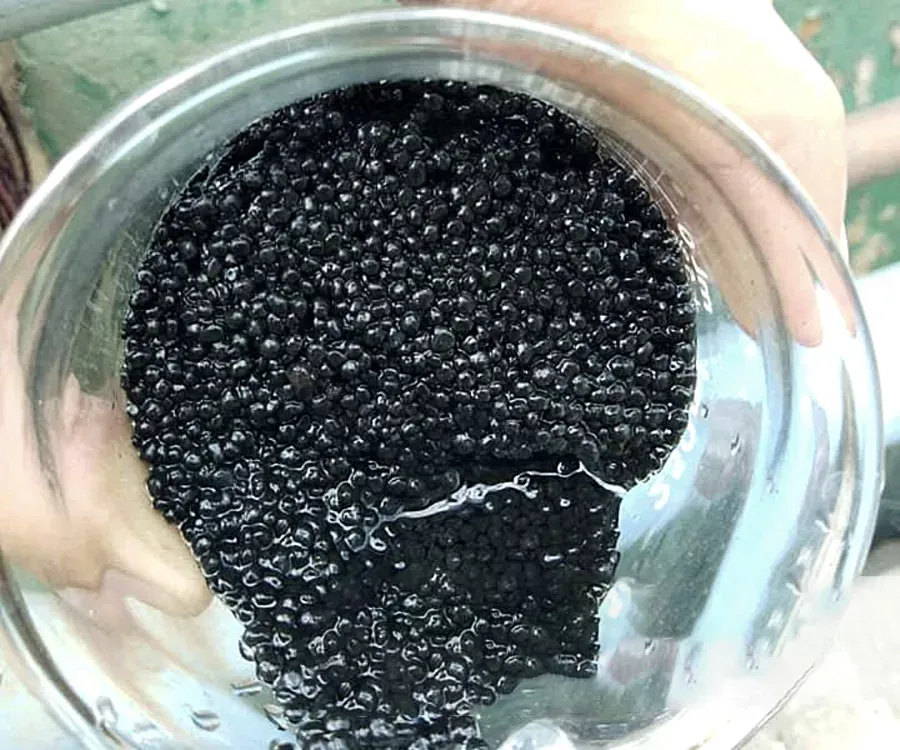 Bùn kỵ khí trong hệ thống xử lý nước thải
