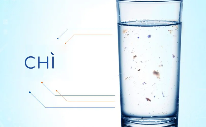 Nước nhiễm chì: Nguyên nhân, tác hại và cách xử lý hiệu quả
