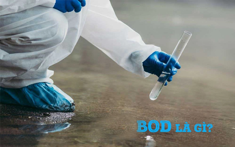Chỉ số BOD (Nhu cầu oxy sinh hóa) trong xử lý nước thải