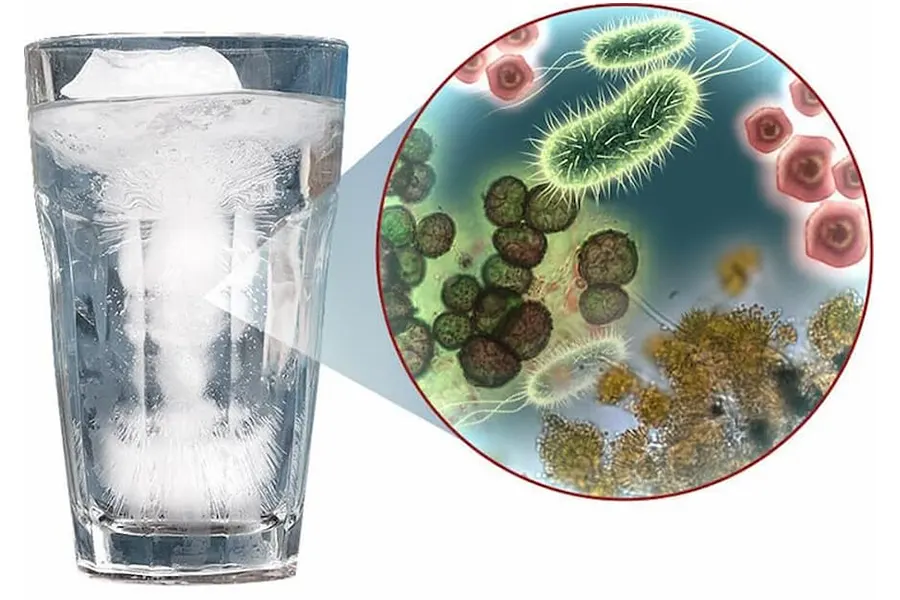 Nước sinh hoạt nhiễm Coliform: Tác hại và cách xử lý