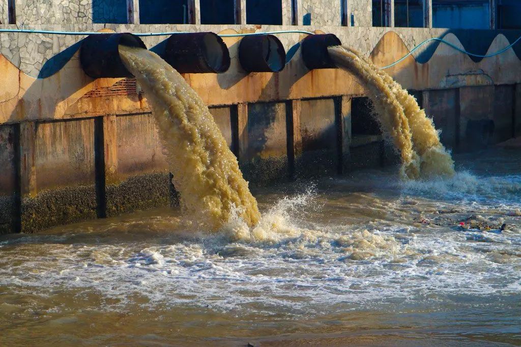 xử lý coliform trong nước thải