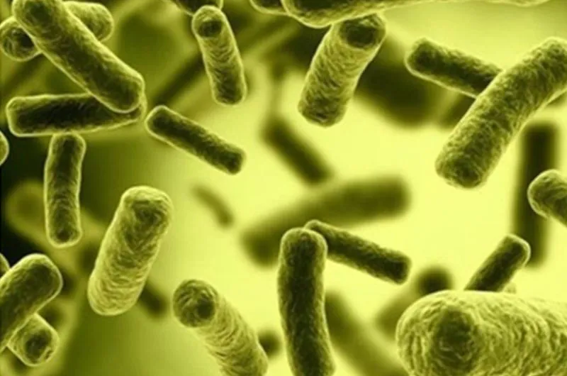 coliform trong nước thải