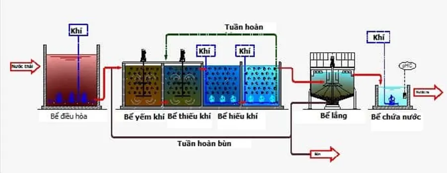 Nguyên lý hoạt động của bể Anoxic
