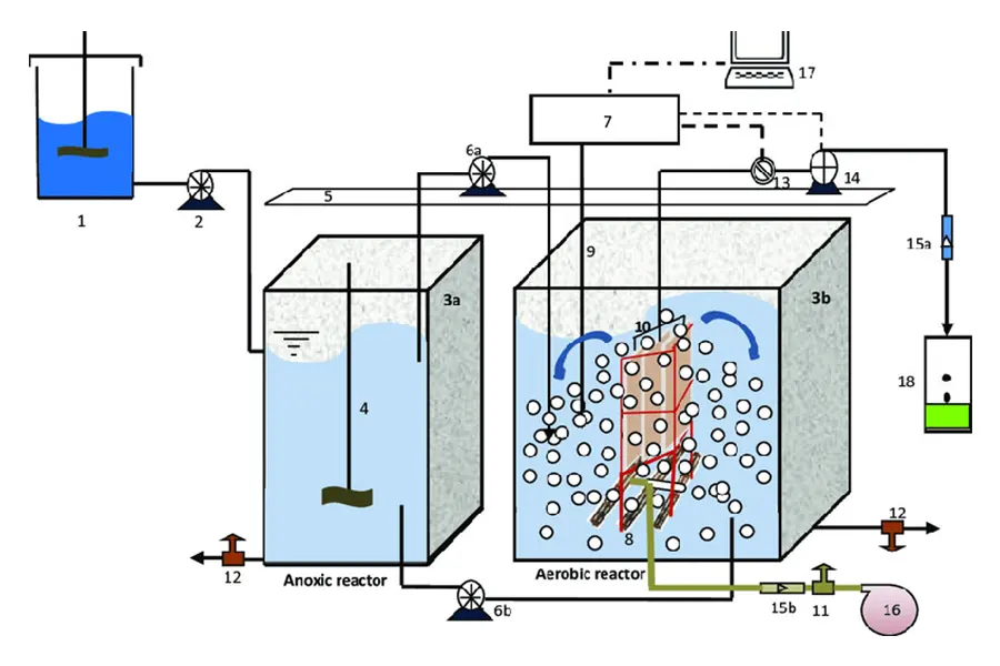 Cấu tạo bể Anoxic