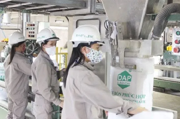 sản xuất phân bón