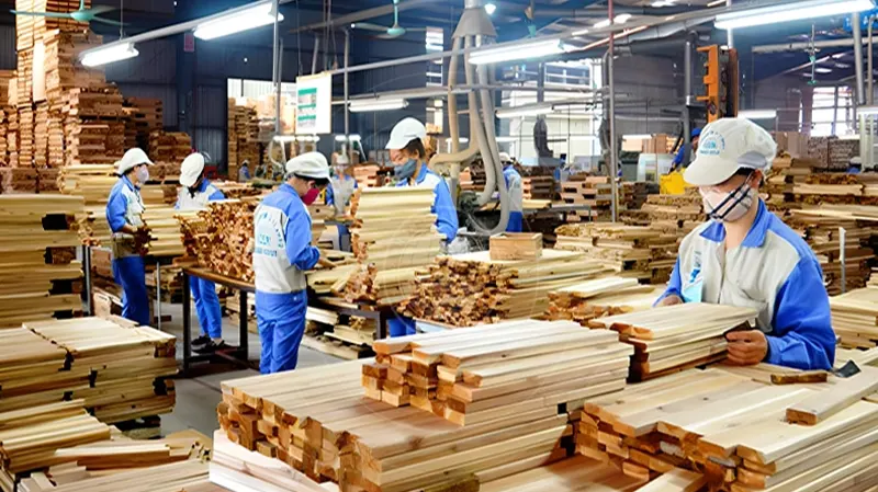 Xử lý nước thải ngành gỗ: Giải pháp hiệu quả