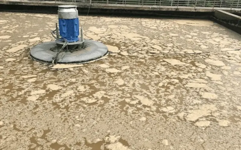 Xử lý dầu mỡ trong nước thải: Giảm thiểu ô nhiễm, nâng cao hiệu quả