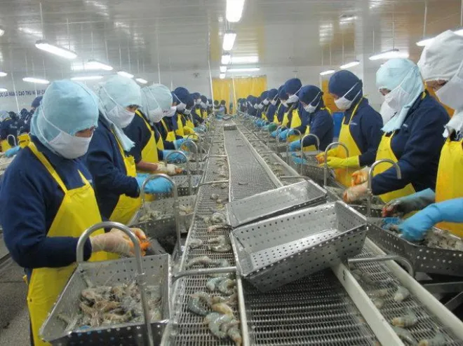 Xử lý nước thải chế biến tôm đông lạnh hiệu quả cao