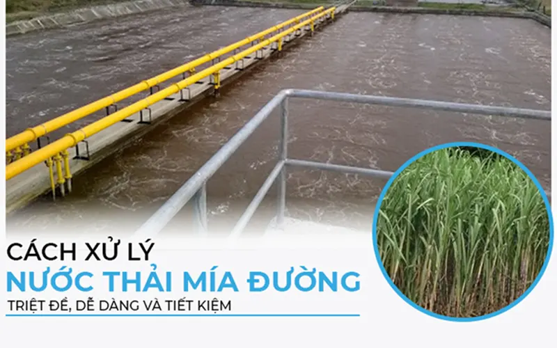 Xử lý nước thải mía đường: Tìm hiểu giải pháp tối ưu cho ngành đường