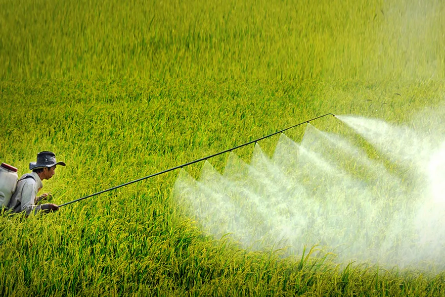 Nước thải thuốc bảo vệ thực vật: Nguyên nhân và cách xử lý