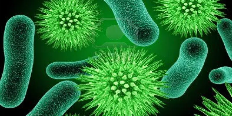 Xử lý nước thải bằng vi sinh vật hiếu khí: Nguyên lý & Ứng dụng